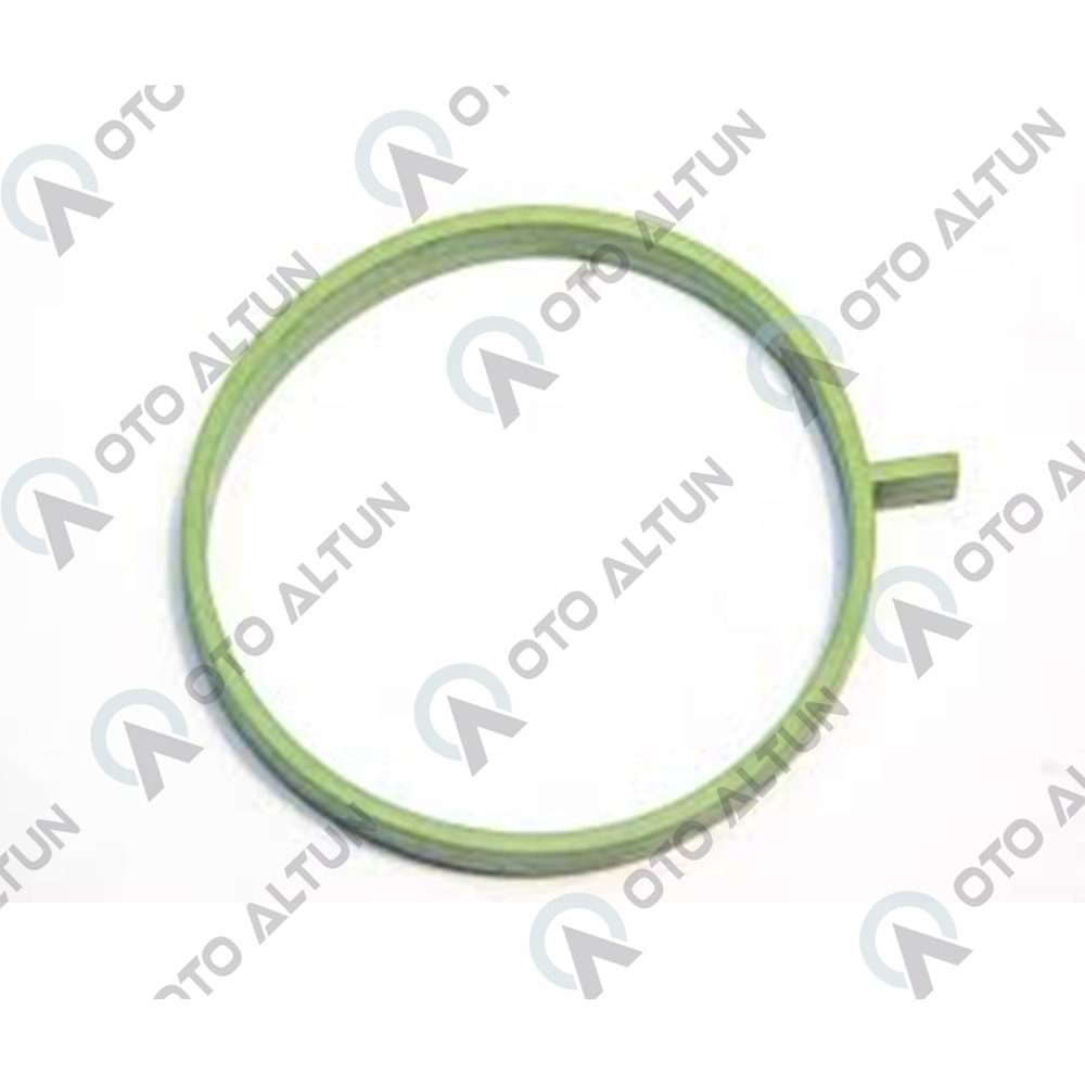 GAZ KELEBEK ORİNGİ H4M MGN IV DUSTER II