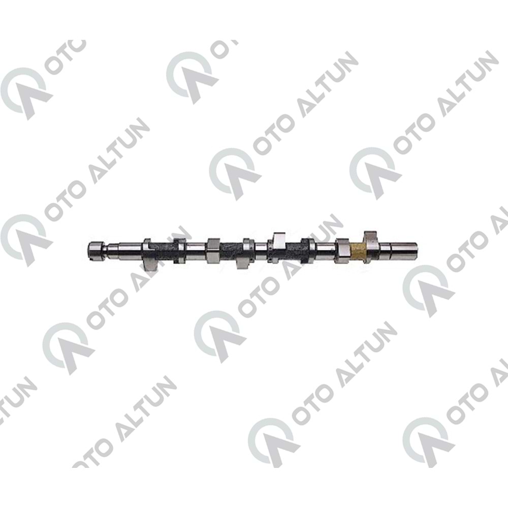 EKSANTRİK MİLİ F8Q KNG R19