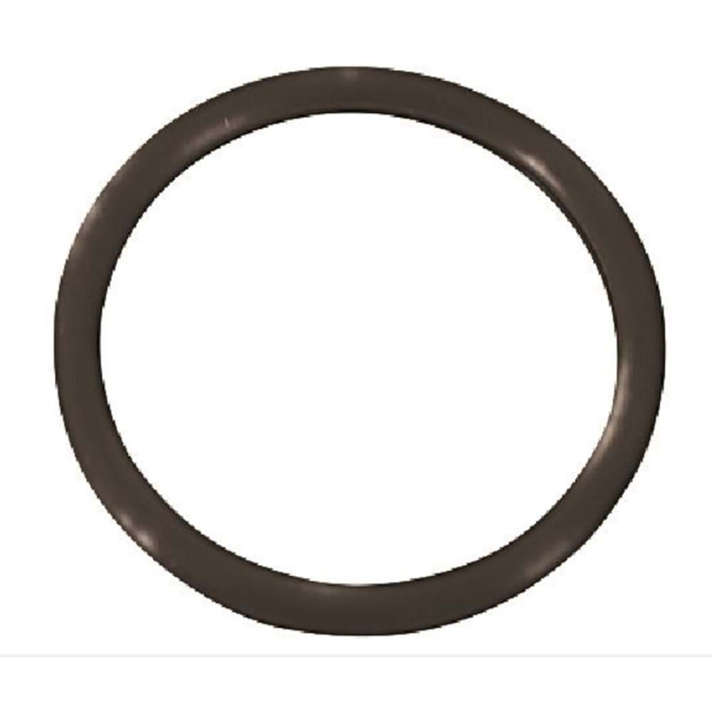TERMOSTAT ORİNGİ