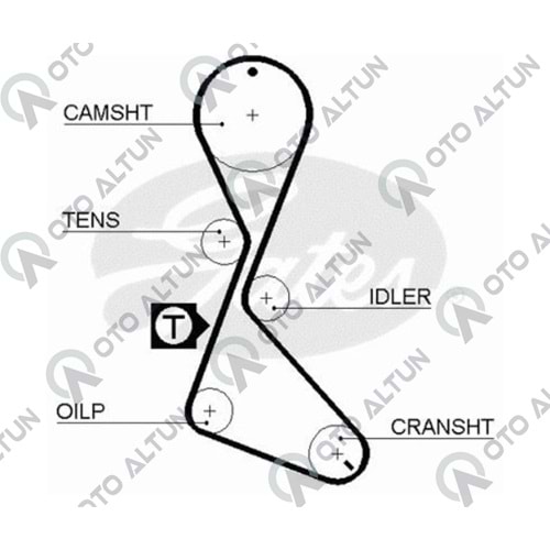 TRİGER KAYIŞI F9Q 153 DİŞ