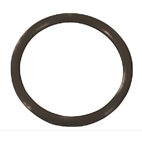 TERMOSTAT ORİNGİ