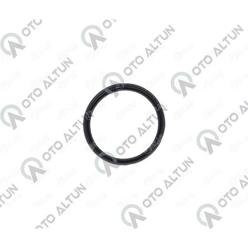 TURBO HORTUM ORİNGİ FLUENCE MGN IV DUSTER